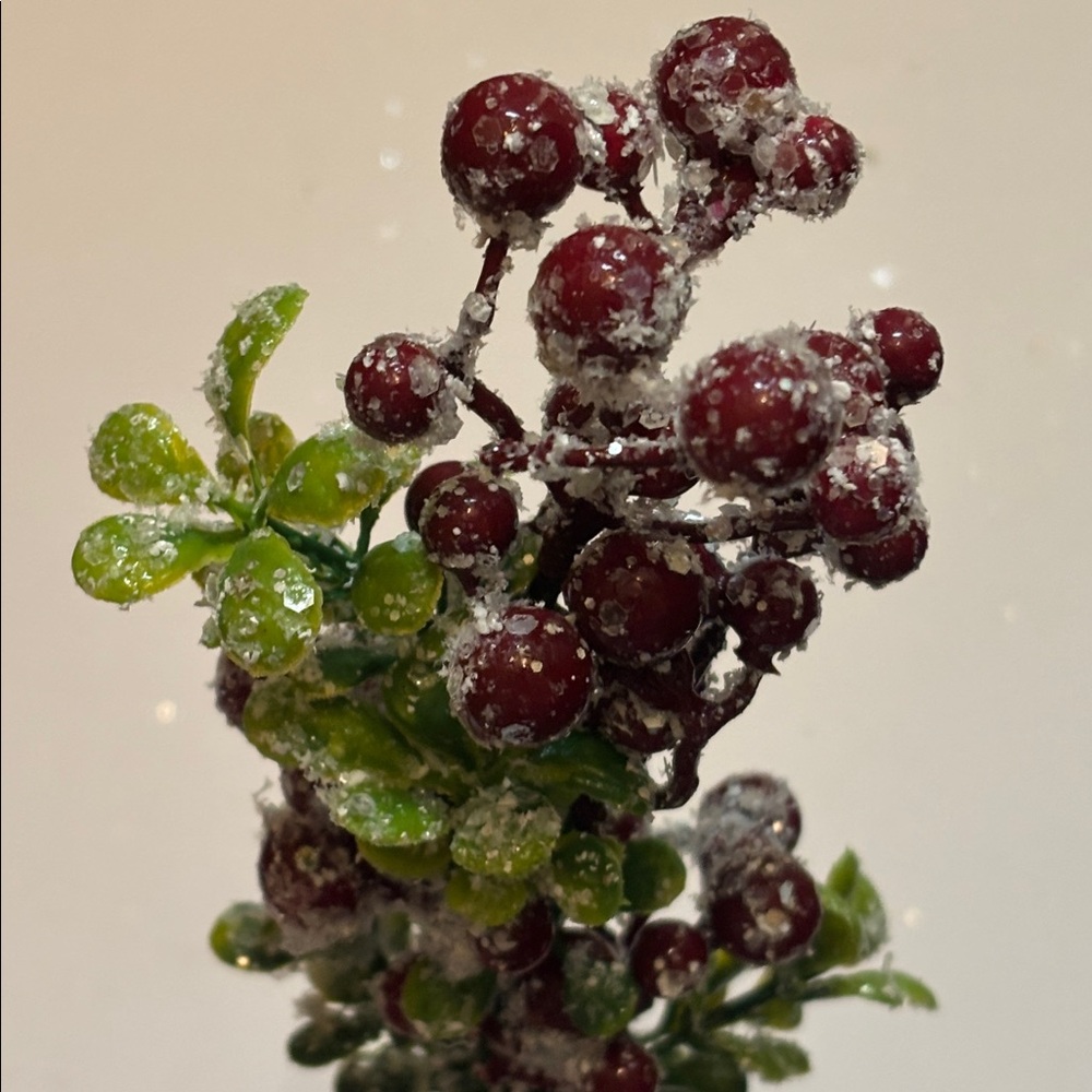 Snow Frosted Red Berry Stems Glitter Red Berries Eucalyptus Picks Set of 12 NWT - Picture 14 of 16